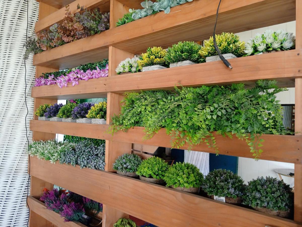 Infinite Green Pension Пуэрто-Принцеса Экстерьер фото