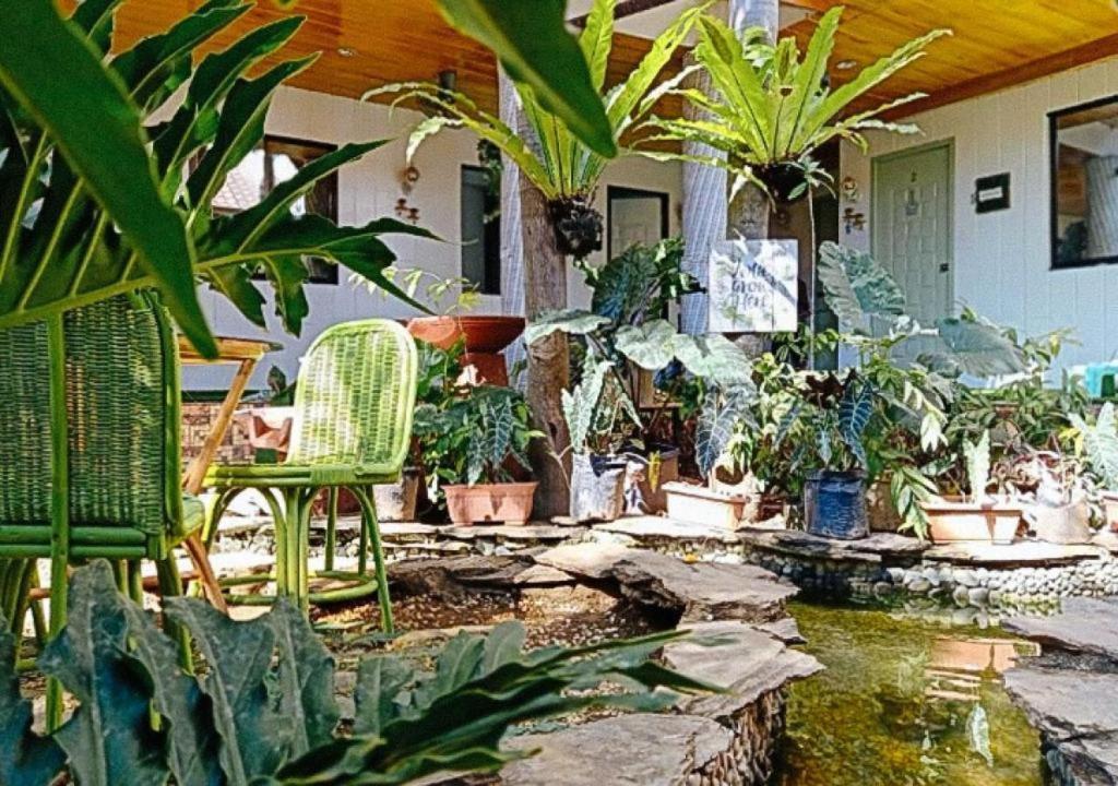 Infinite Green Pension Пуэрто-Принцеса Экстерьер фото